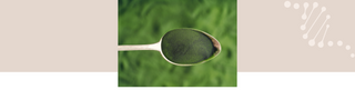 Chlorella Powder: Is it really a superfood?