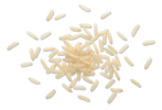 Brown Rice Protein