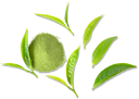 Matcha Green Tea