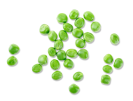 Pea Protein