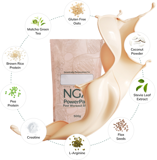 NGX PowerPack Nutrition Shake Protein Add On NGX ngx-powerpack-nutrition-shake-protein-add-on-ngx